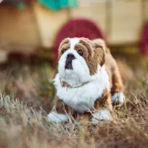 Little House On The Prairie 'Jack The Bulldog' Accessory Pet For 18 Inch Dolls