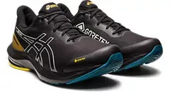 Men's Asics Gel Pulse 14 GTX