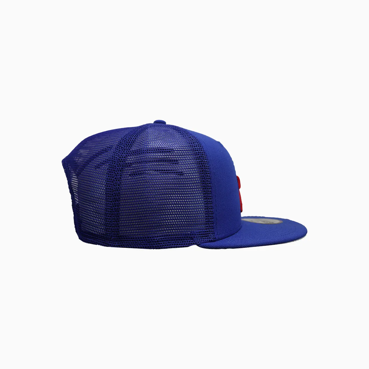 Philadelphia 76Ers NBA 9Fifty Trucker Snapback Hat